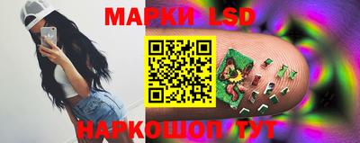 крисы Будённовск