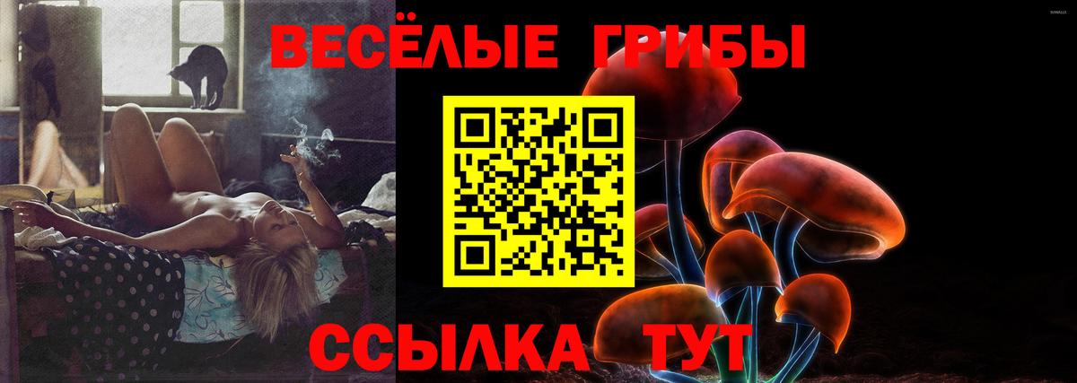 Галлюциногенные грибы Psilocybine cubensis  Галлюциногенные грибы мухоморы  Протвино  Вход с VPN 